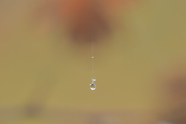 Csengőhúzó az égből 