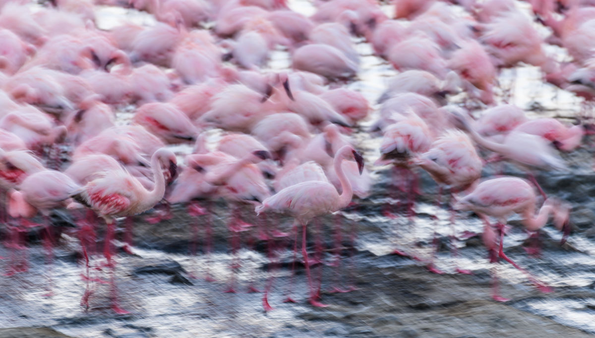 Szakolczai Krisztina