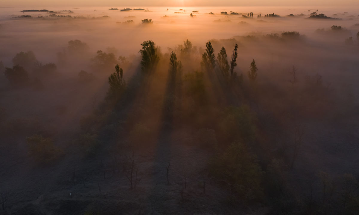 Szakolczai Krisztina