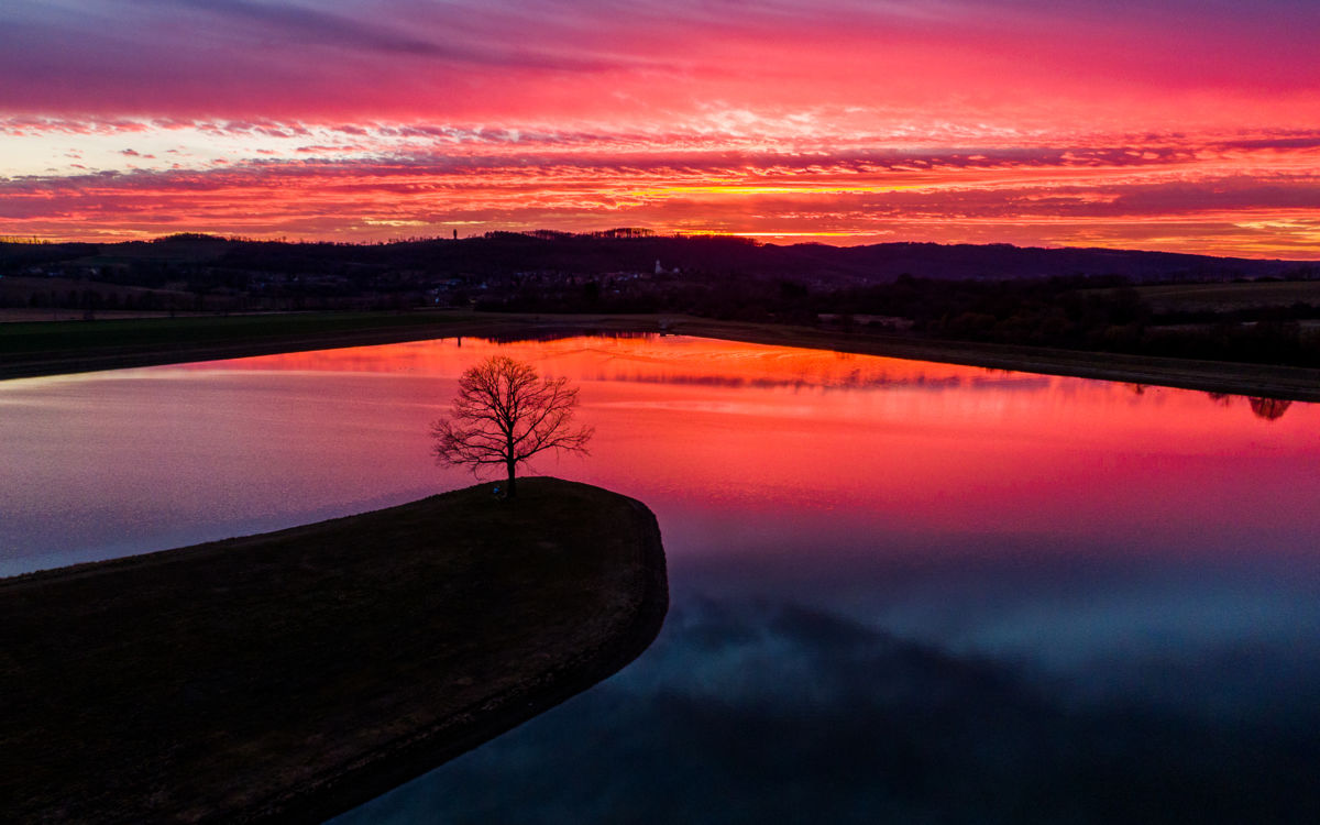 Koncz-Bisztricz Tamás