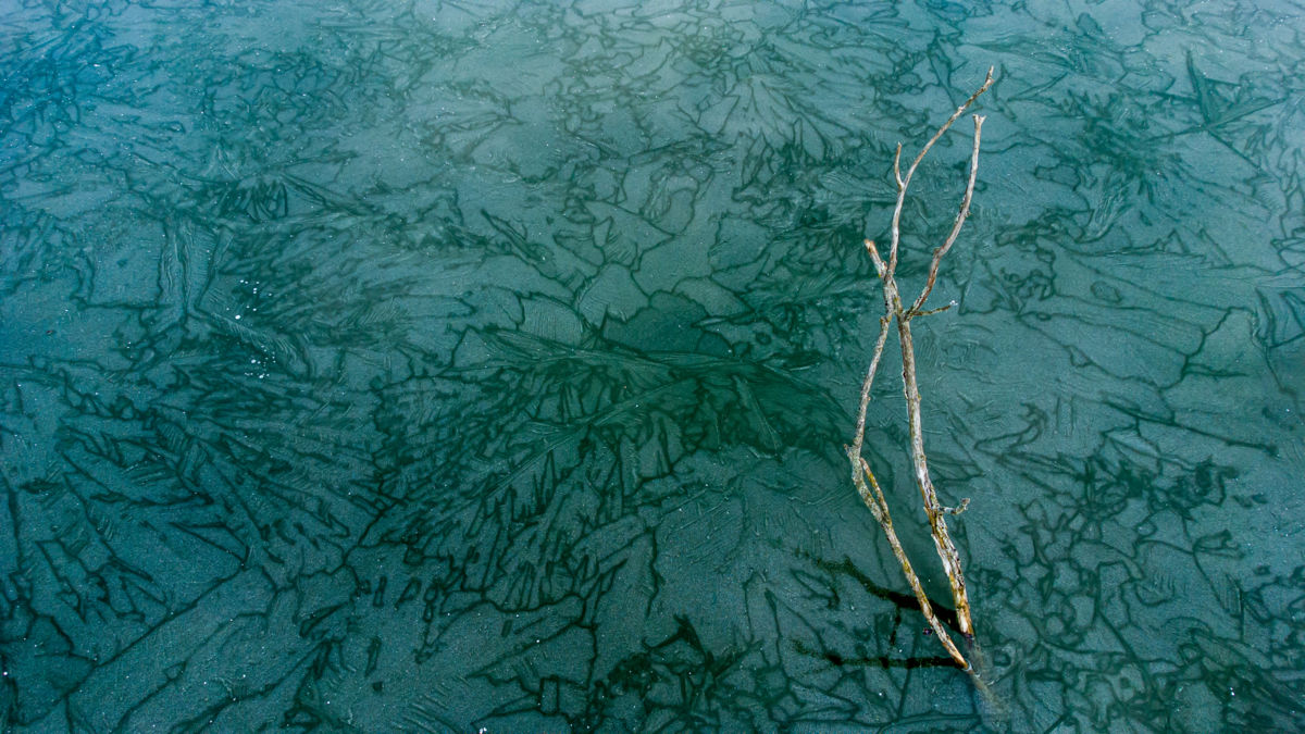 Benke Péter Valentin