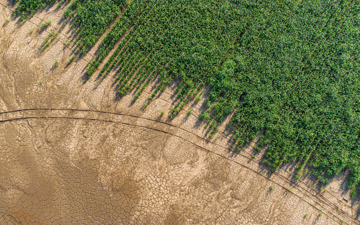 Benke Péter Valentin