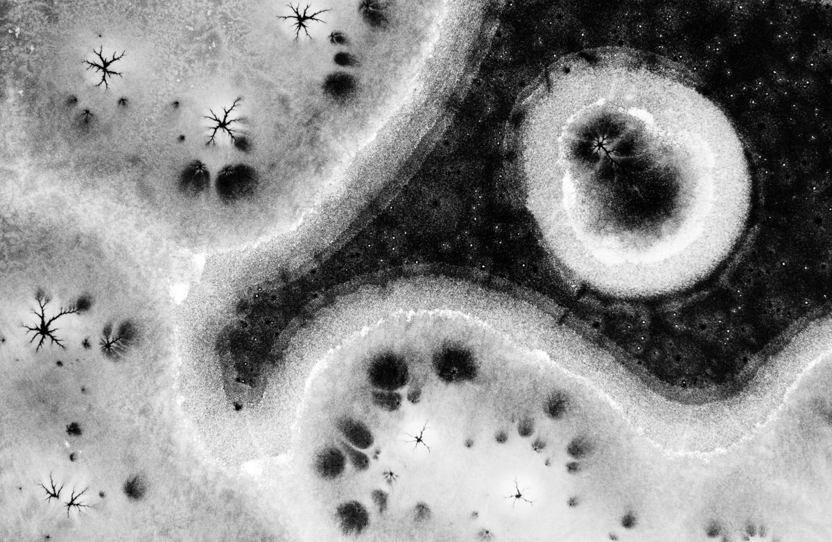 Szakolczai Krisztina