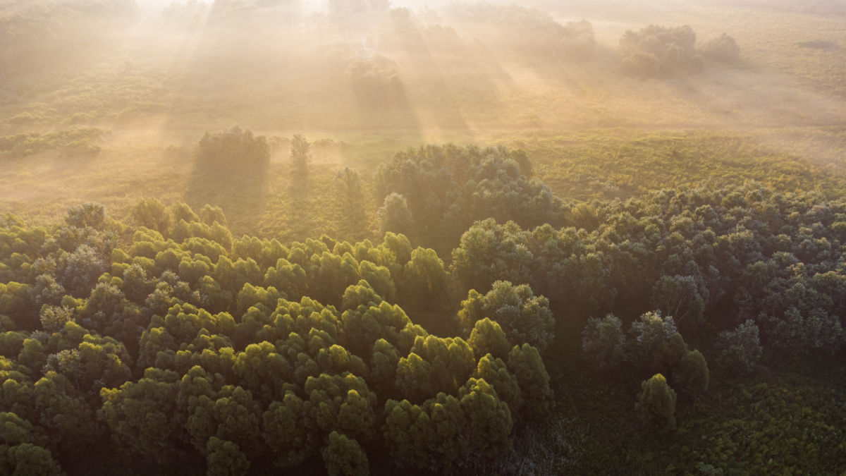 Benke Péter Valentin