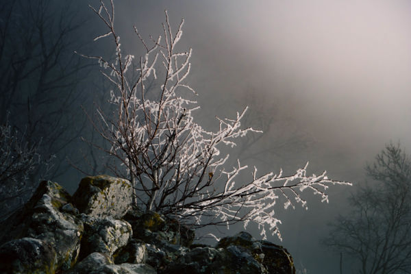 Köd, jég, napfény