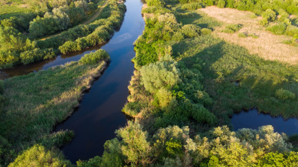 Ha a június mesélni tudna