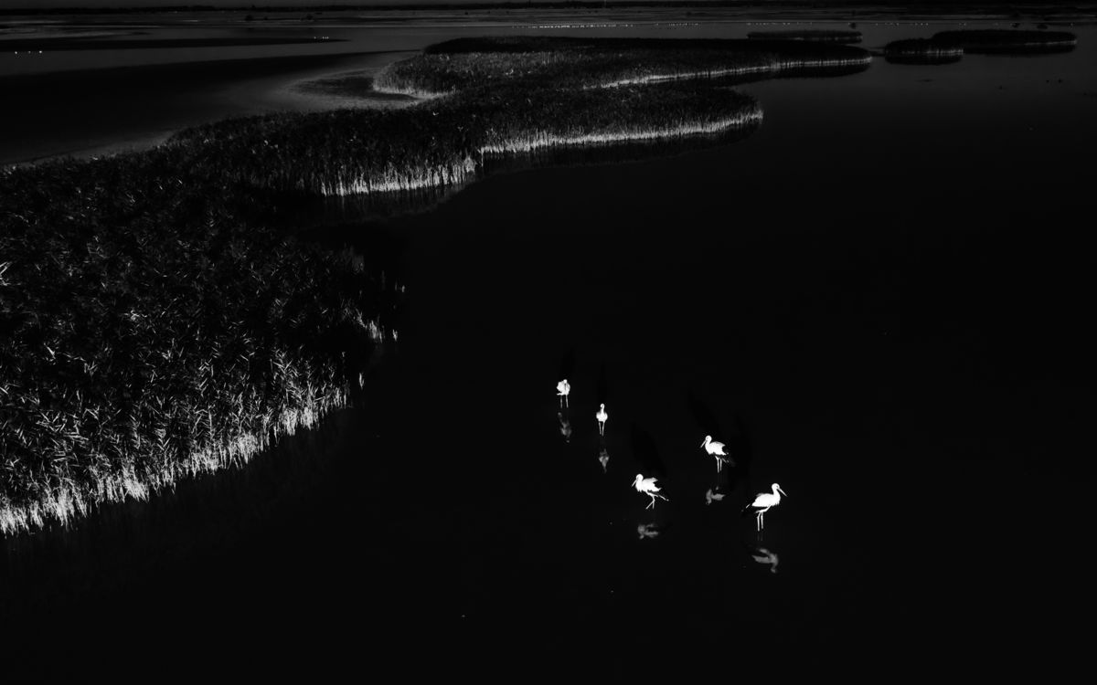 Szakolczai Krisztina