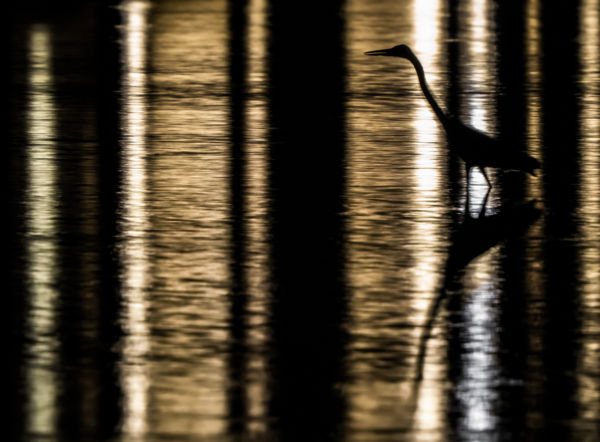 Az éjszakai strandoló