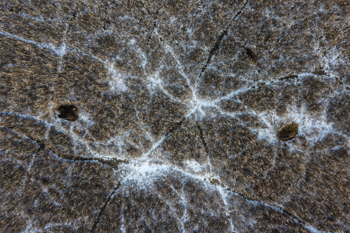 Szakolczai Krisztina