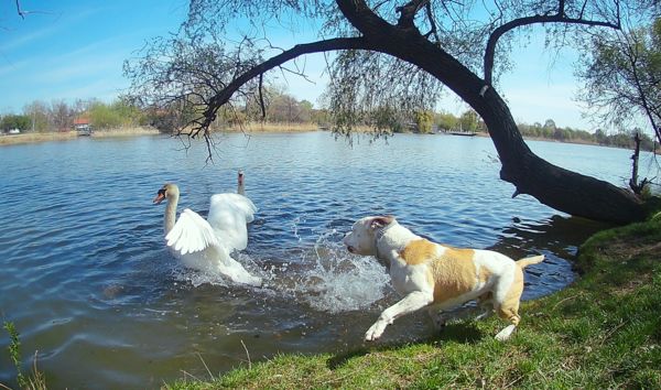 Ember a természetben 1