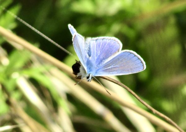 Felszállásra készen