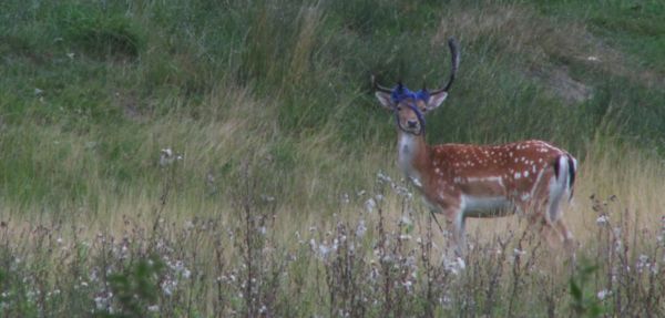 Ember a természetben 2