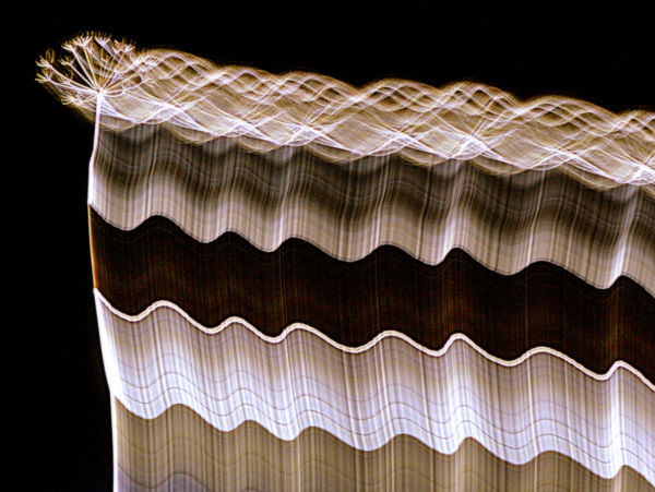 Tengernyi virágözön