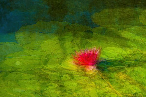 Monet után szabadon