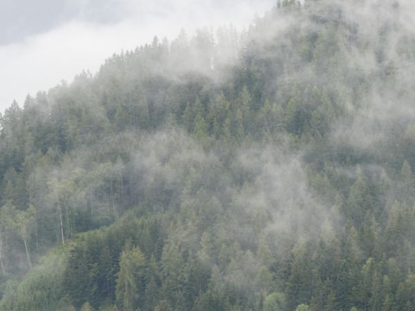 Pókháló felhőben