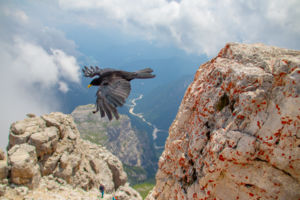 Mindenek felett Mindenek felett