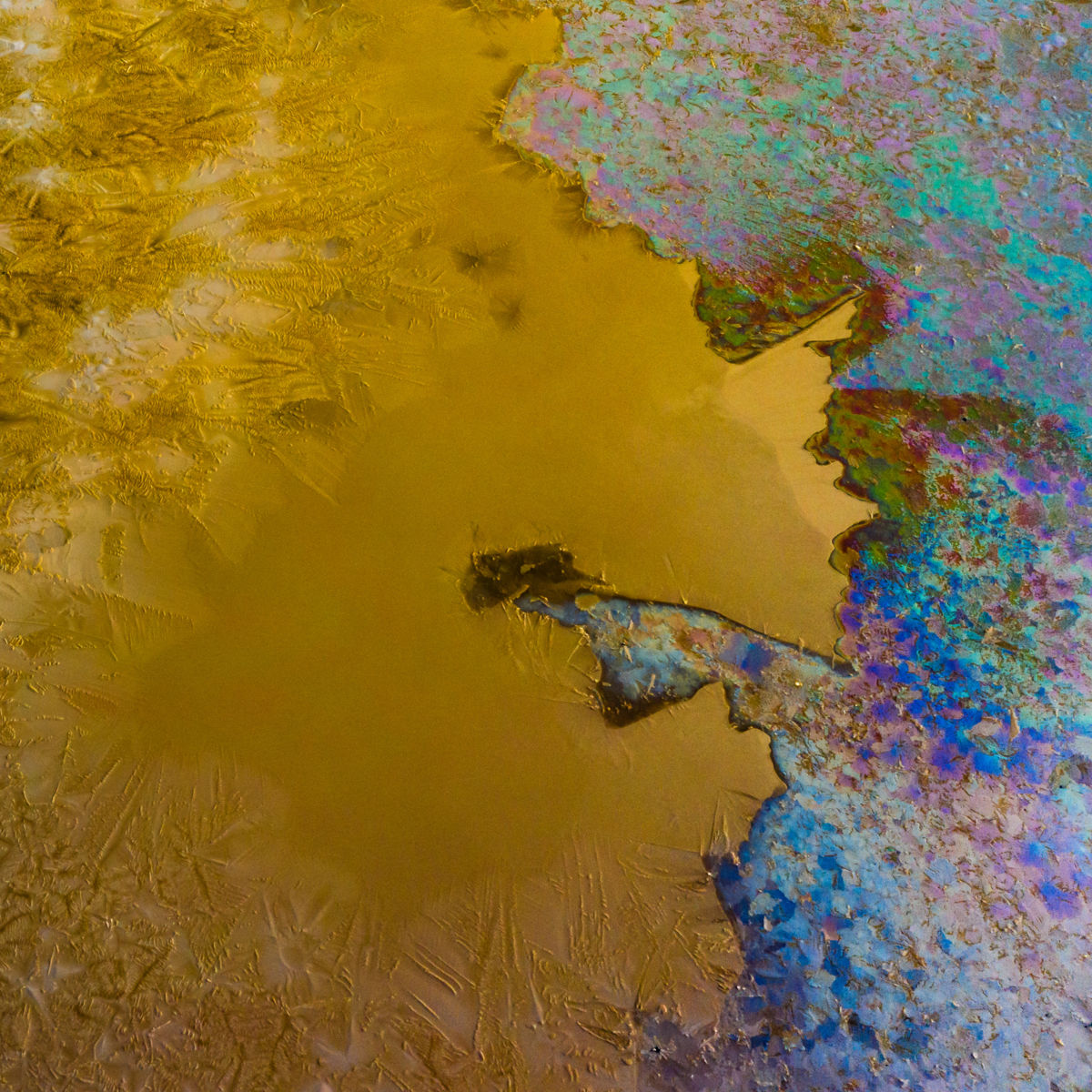 Szakolczai Krisztina