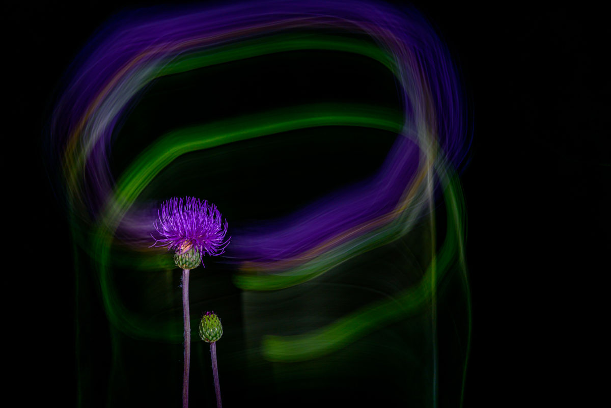 Benke Péter Valentin