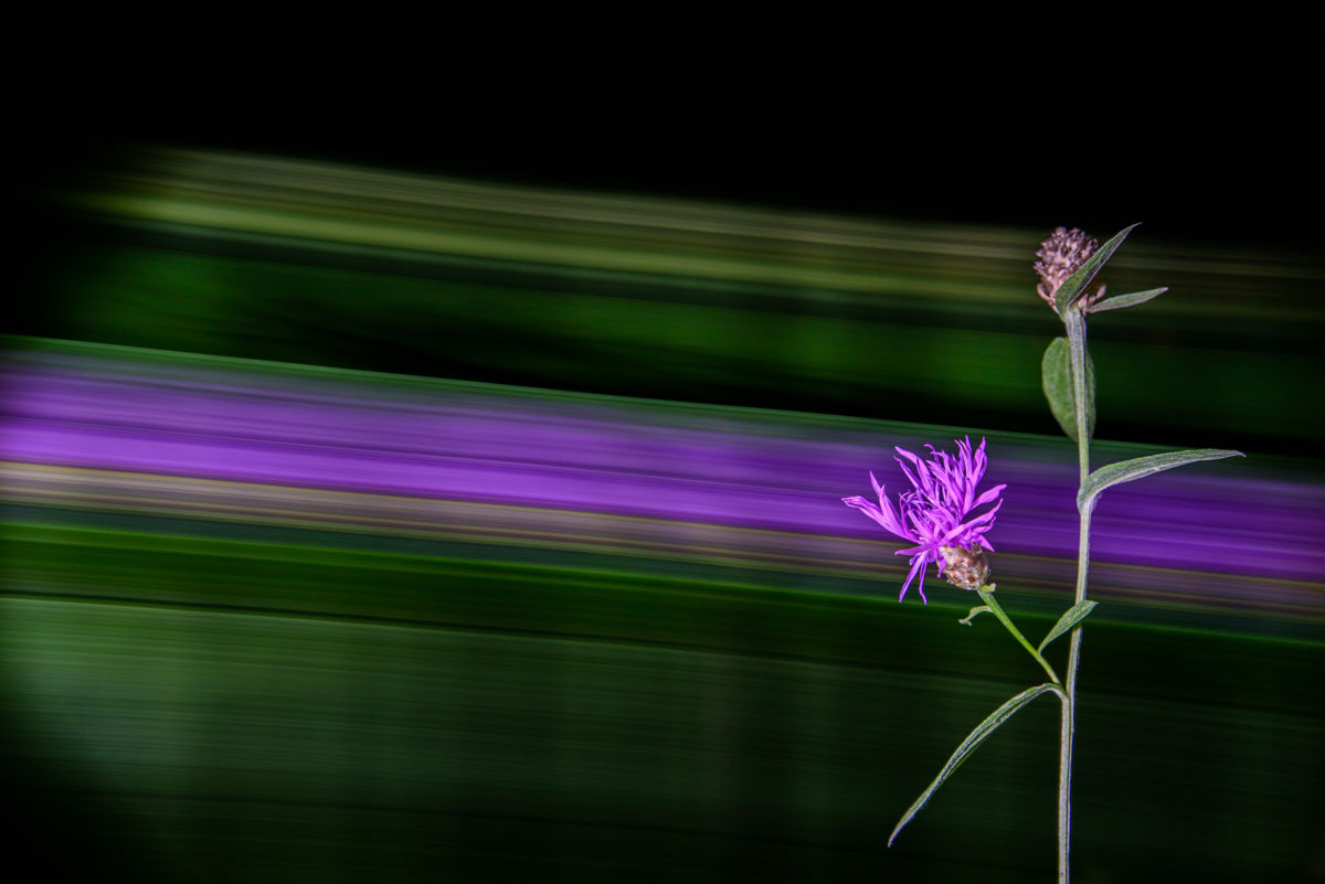 Benke Péter Valentin