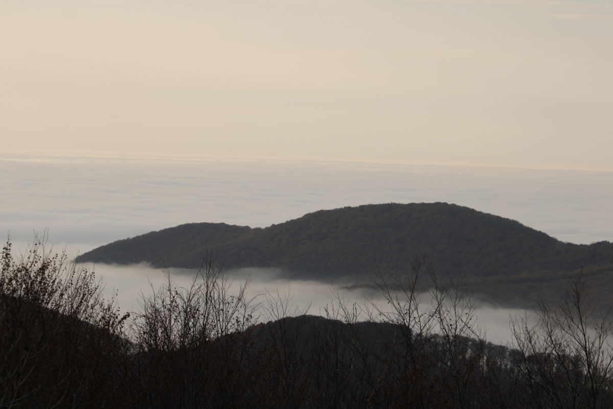 Seres Ádám Zoltán