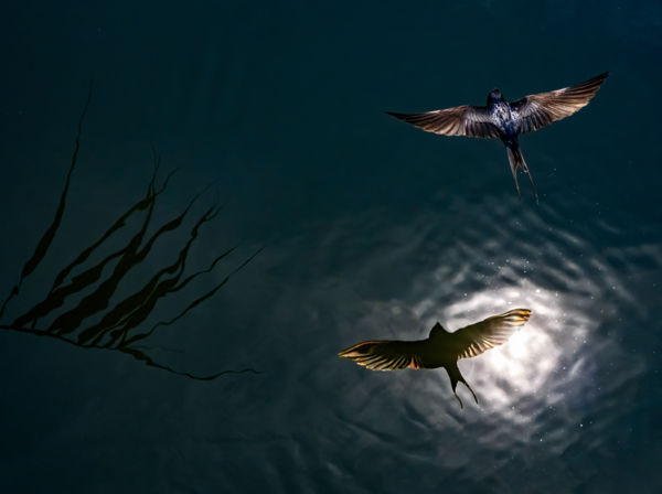 Részleges napfogyatkozás