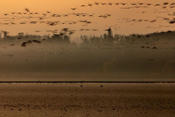 Száguldó hangjegyek