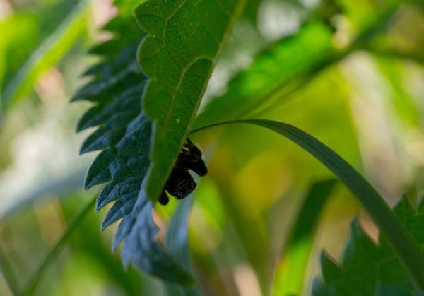Tudom mit tettél idén nyáron, láttalak