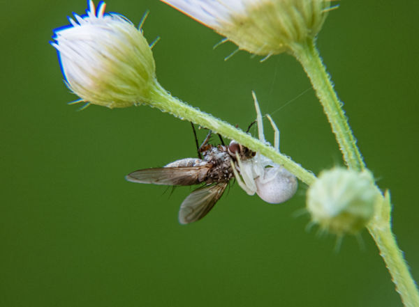 Légy itt vacsorára
