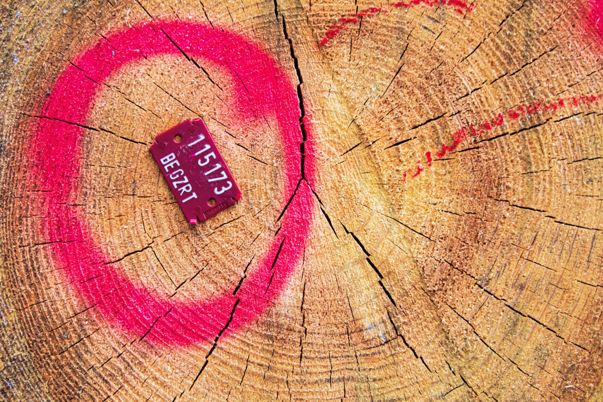 Gaál Zoltán Péter