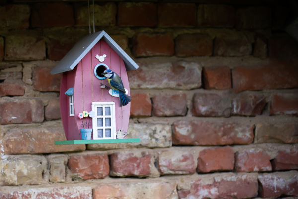 Drágám! Megjöttem!