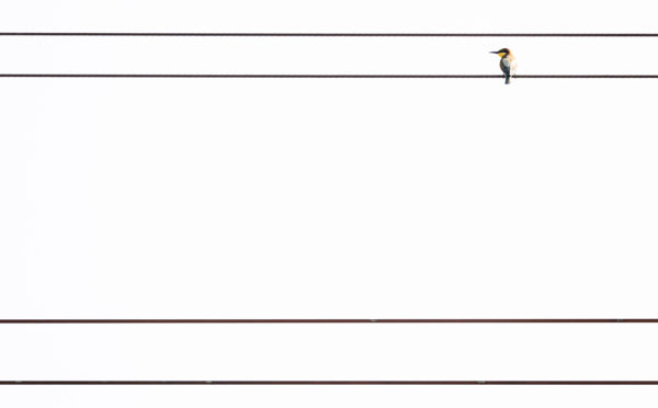 Rövid pihenő a tartóvezetéken