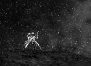 Interstellar Interstellar