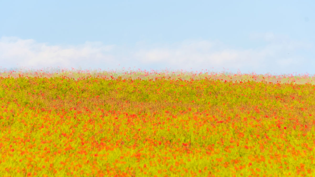 Gaál Zoltán Péter