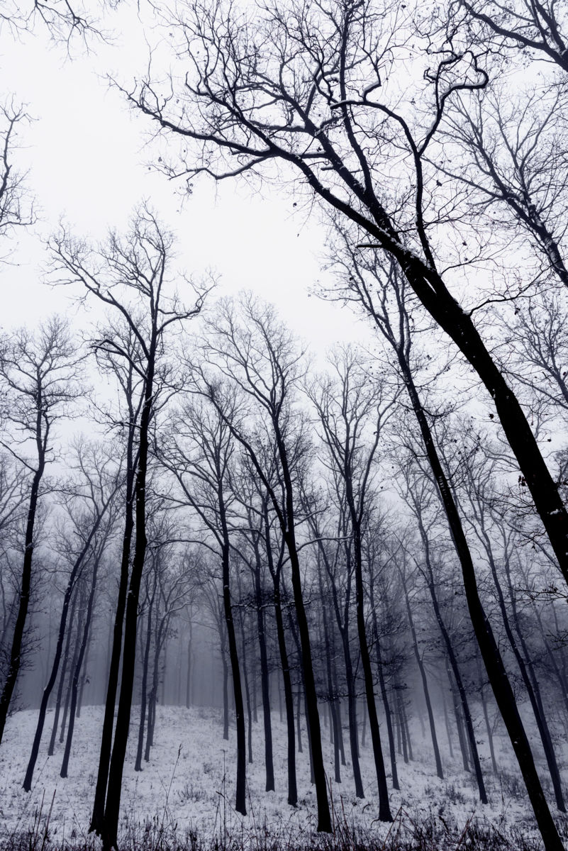 Benke Péter Valentin