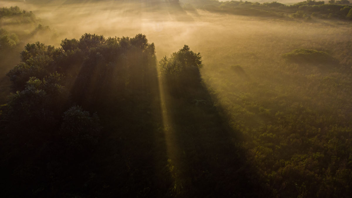 Benke Péter Valentin