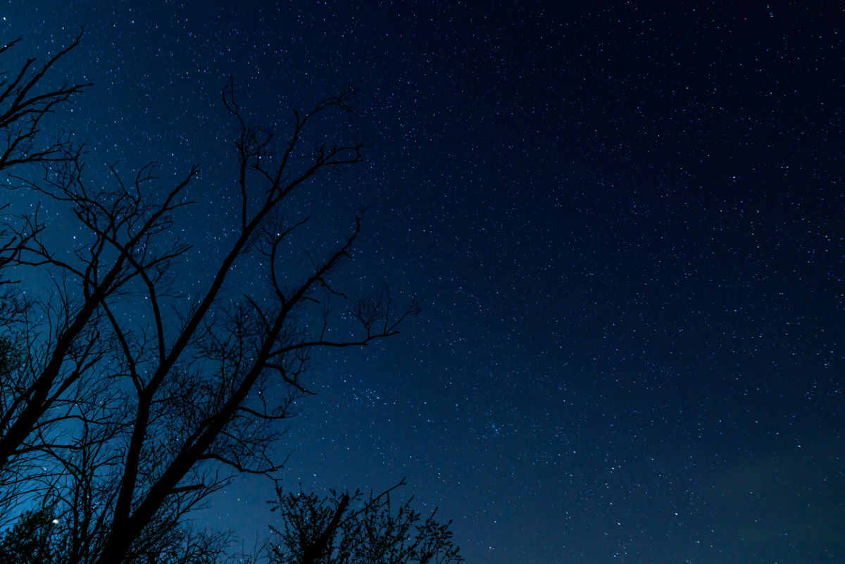 Benke Péter Valentin