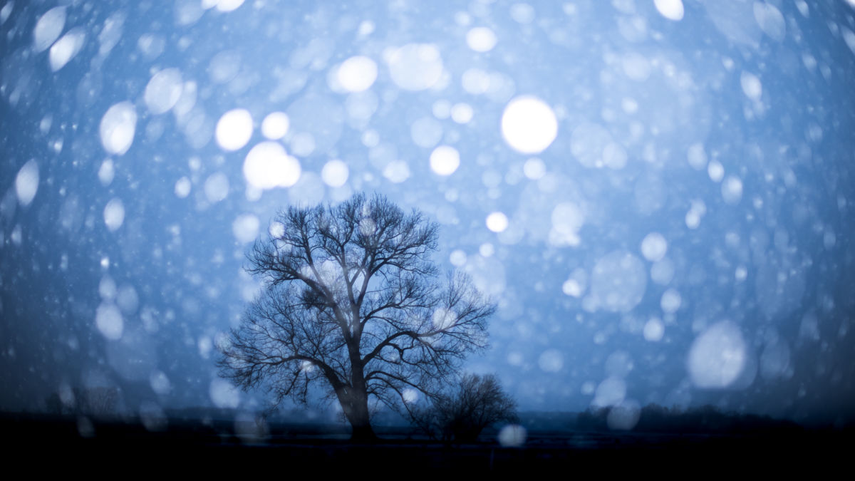 Koncz-Bisztricz Tamás