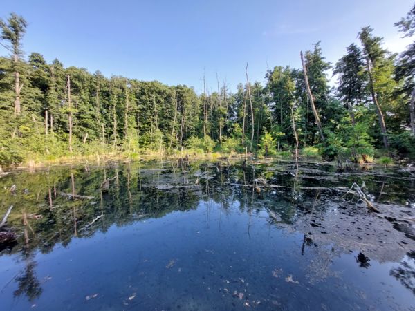 A dunántúli 'Gyilkos-tó'