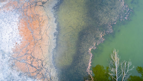 Minden ami hátramaradt