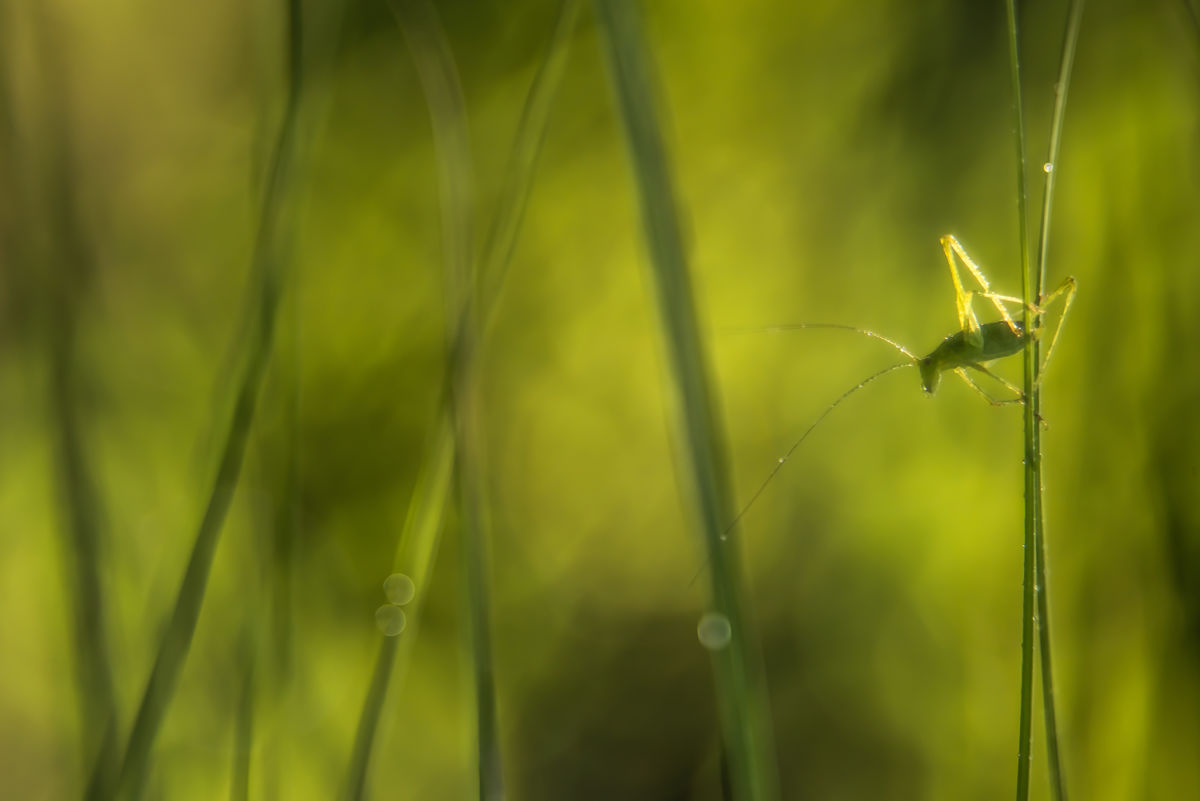 Darányiné Bakos Éva