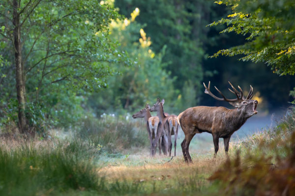 Szeptemberi “festmény”