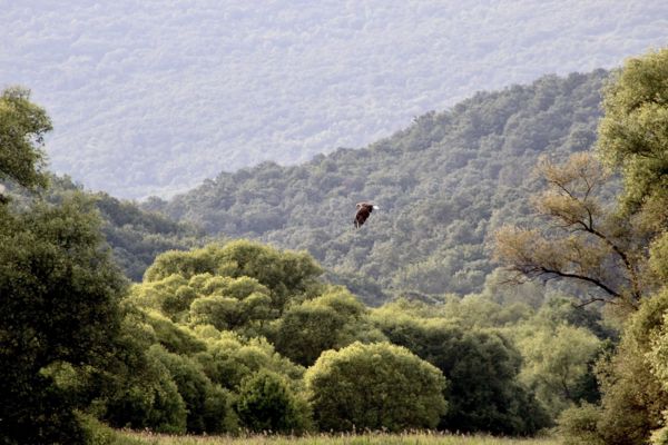 Magyar egek urának látogatása a völgyben