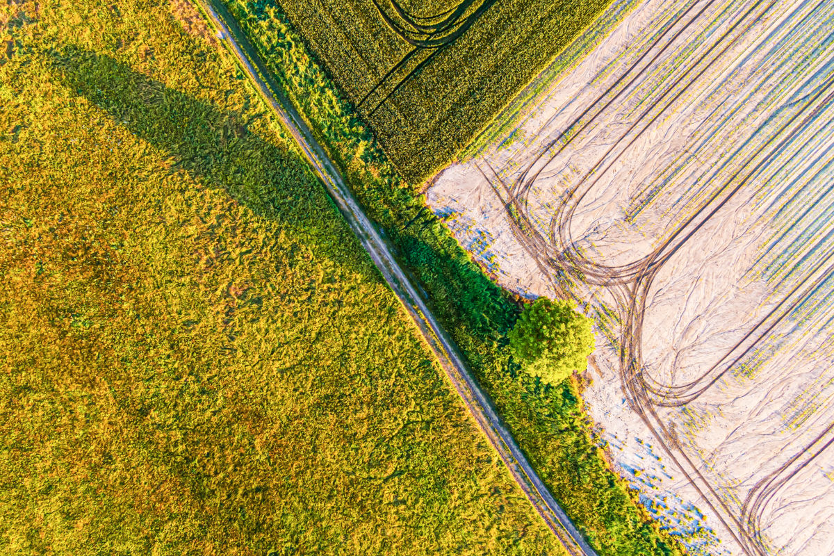 Gaál Zoltán Péter