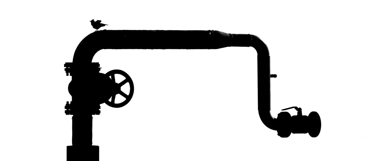 Koncz-Bisztricz Tamás