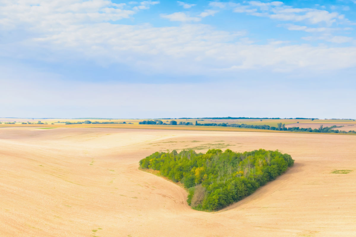 Gaál Zoltán Péter