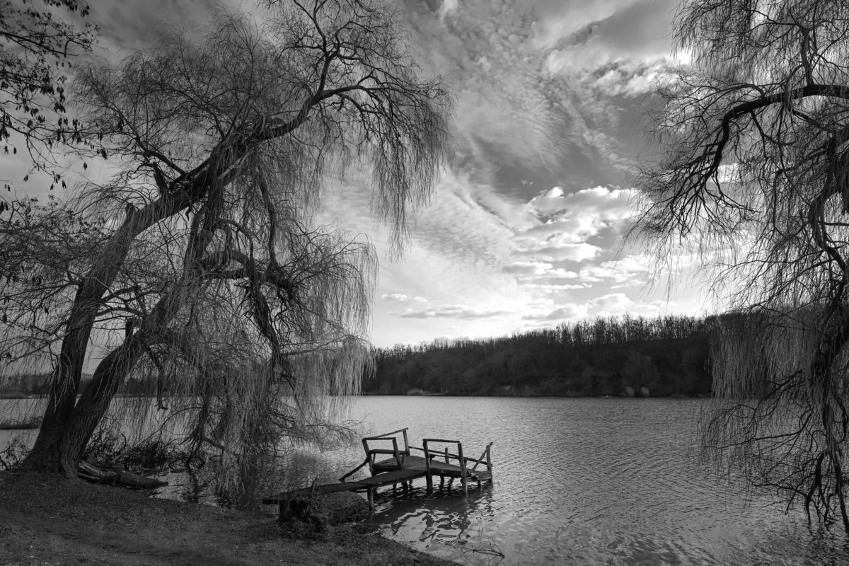 Gaál Zoltán Péter