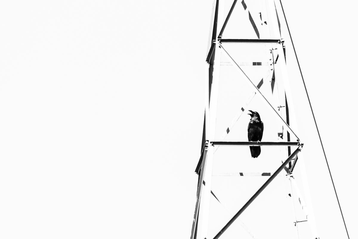 Darányiné Bakos Éva