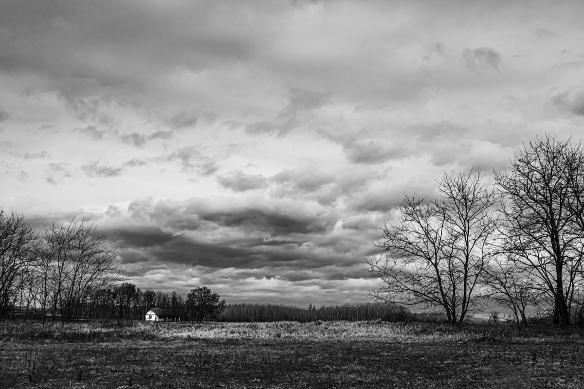 Gaál Zoltán Péter