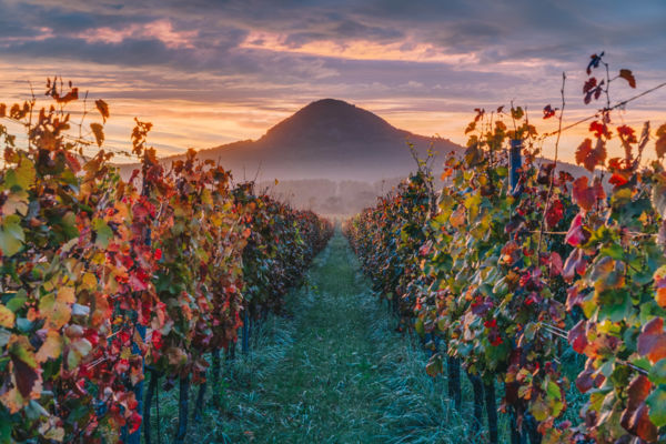 A legszínesebb reggel