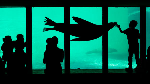 Világok találkozása